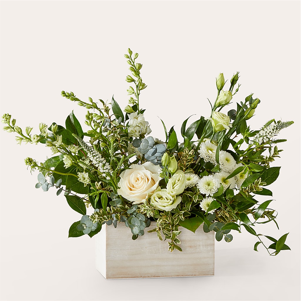 Cashmere Bouquet – Sweet Peas Of Jennersville, West Grove PA