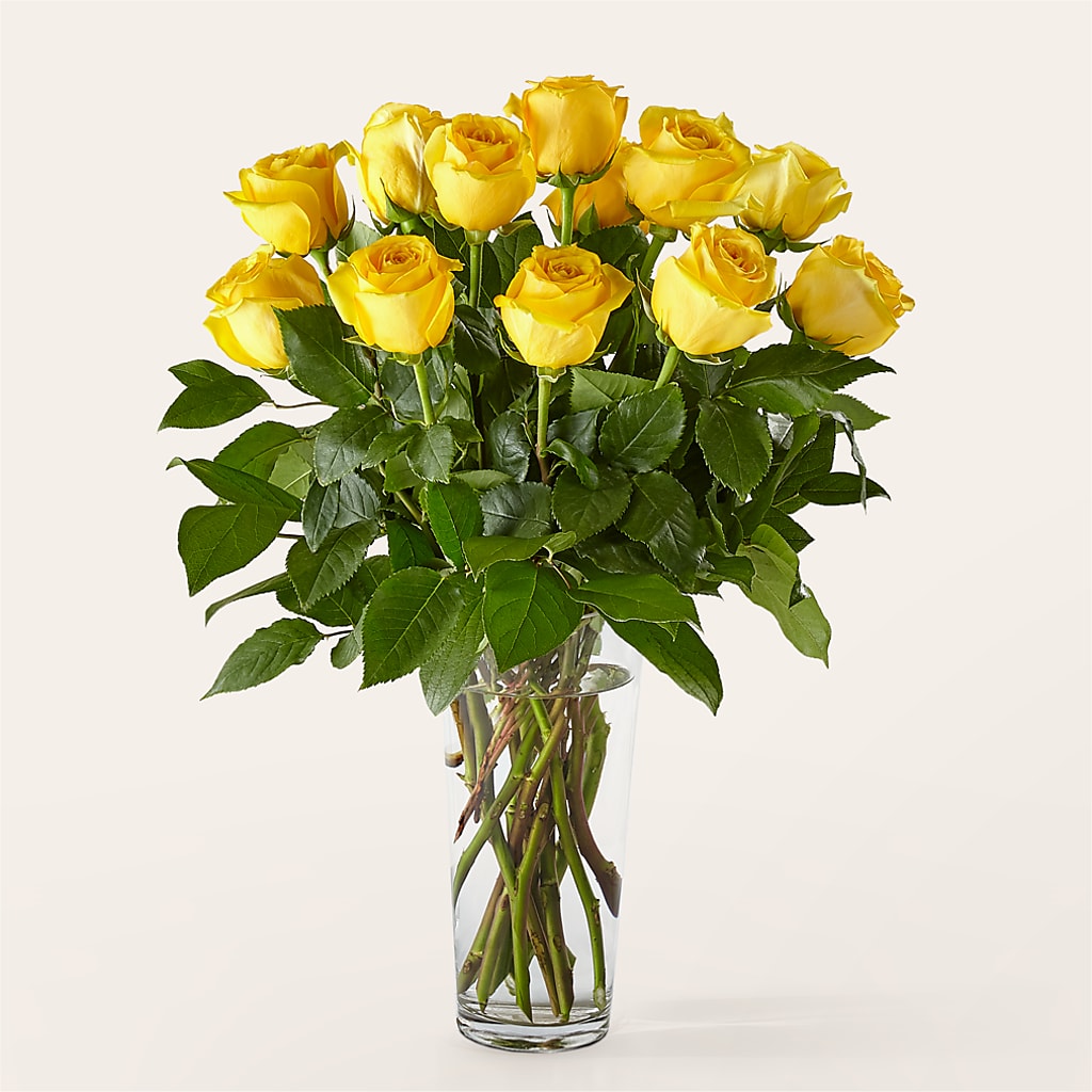Long Stem Yellow Rose Bouquet – Sweet Peas Of Jennersville, West Grove PA