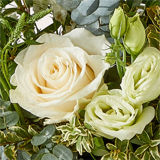 Cashmere Bouquet –  Sweet Peas Of Jennersville, West Grove PA