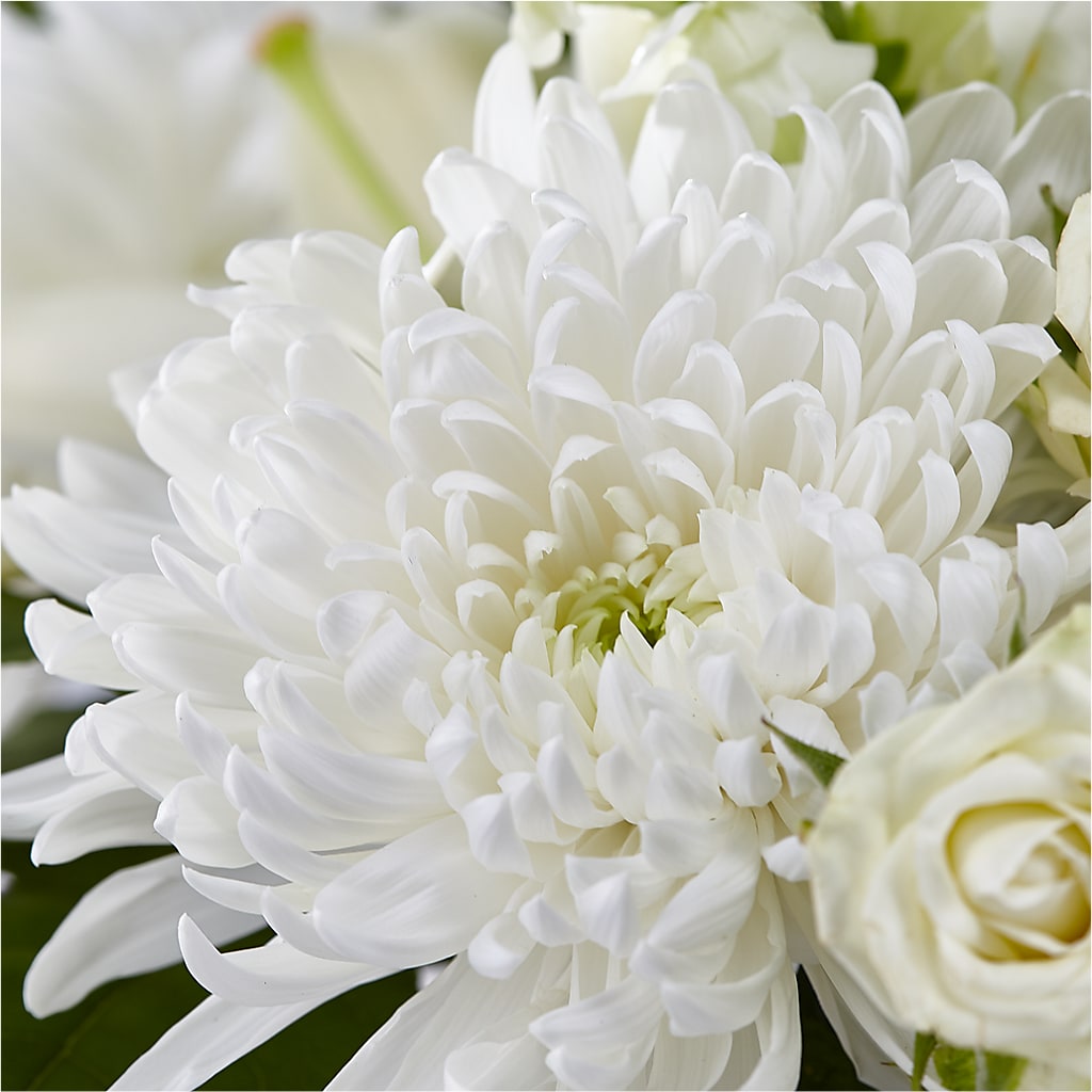 Classic Ivory – A Florist Original –  Sweet Peas Of Jennersville, West Grove PA