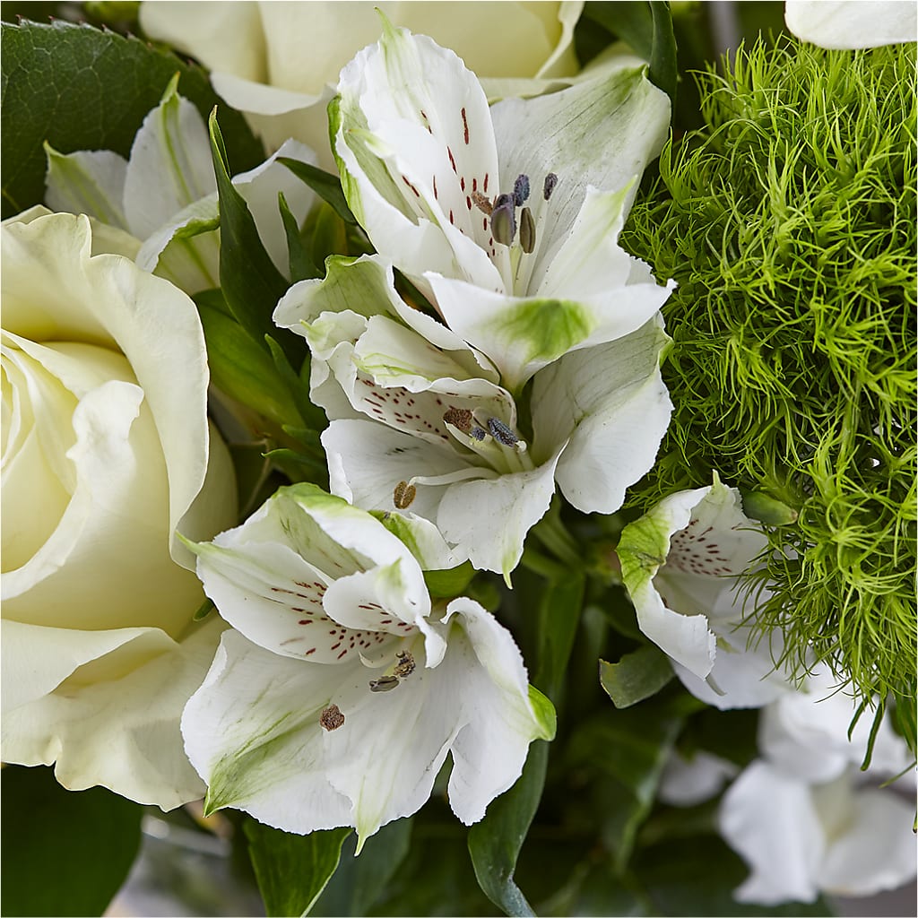 Classic Ivory – A Florist Original –  Sweet Peas Of Jennersville, West Grove PA